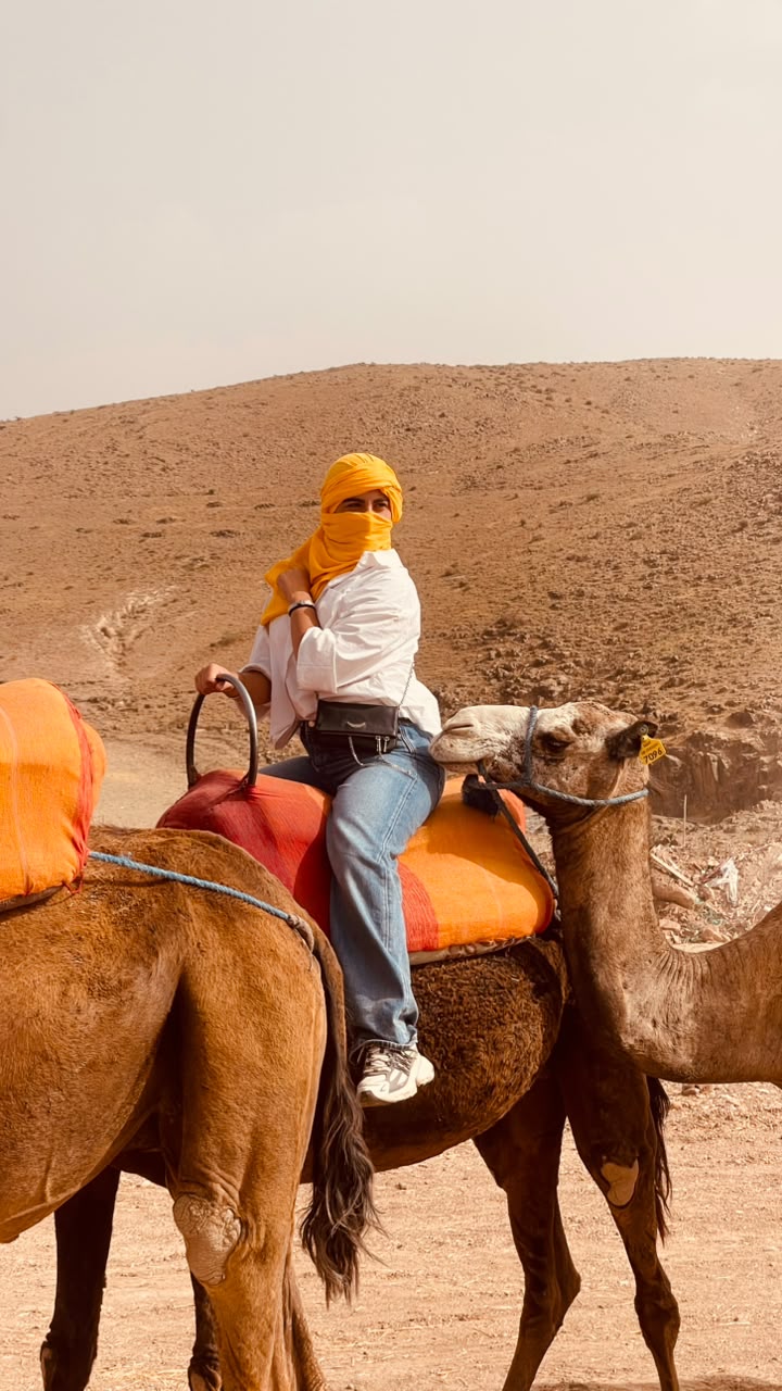 Agafay Desert: Quad, Camel, Pool & Dinner Show