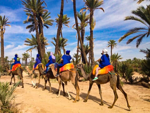 Marrakech: Camel Ride in the Palmeraie Oasis