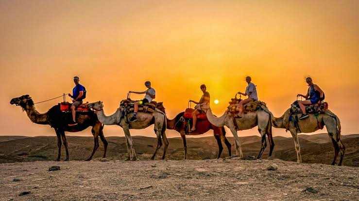 Marrakech: Sunset Camel Ride in the Agafay Desert