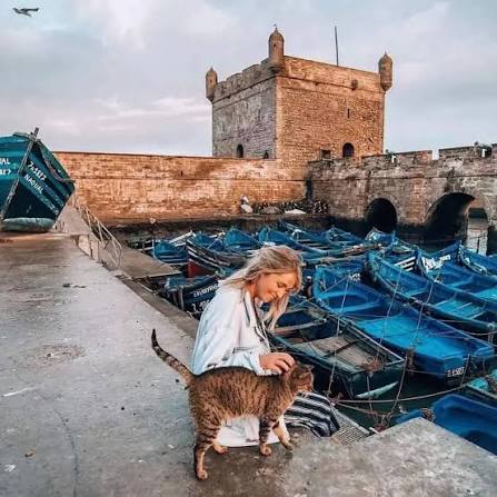 Marrakech: Essaouira Day Trip, Beach & Medina