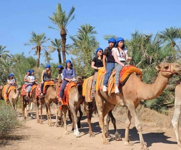 Marrakech: Camel Ride in the Palmeraie Oasis